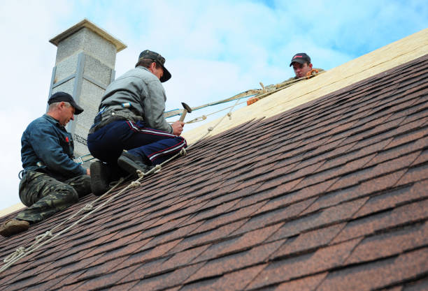 Best Roof Repair Services  in Mccord, OK