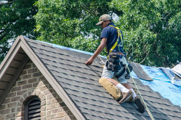 Best Roof Gutter Cleaning  in Mccord, OK